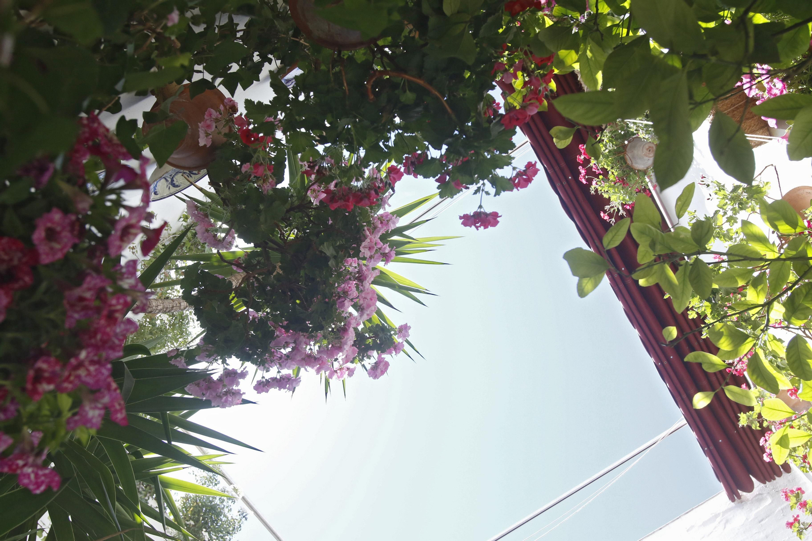 Ruta Alcázar Viejo de los Patios de Córdoba, en imágenes