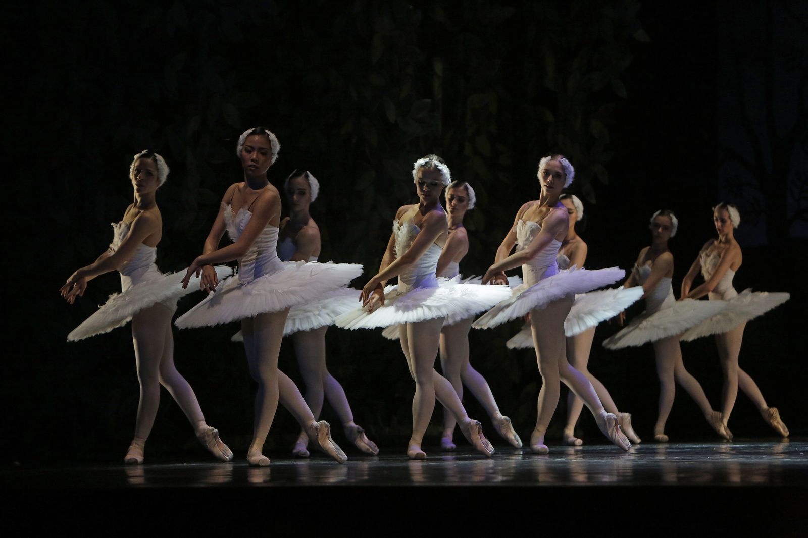 EL LAGO DE LOS CISNES