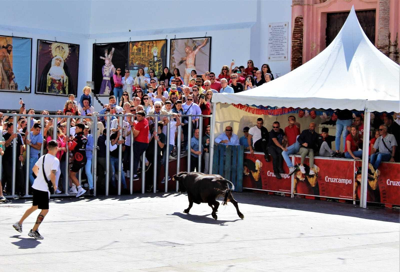 Festividad de San Jorge, patrón de Alcalá de los Gazules