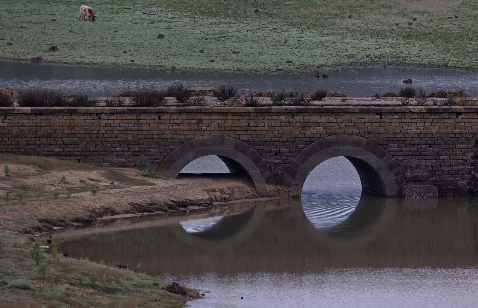 Fotos del pantano de Charco Redondo en Los Barrios