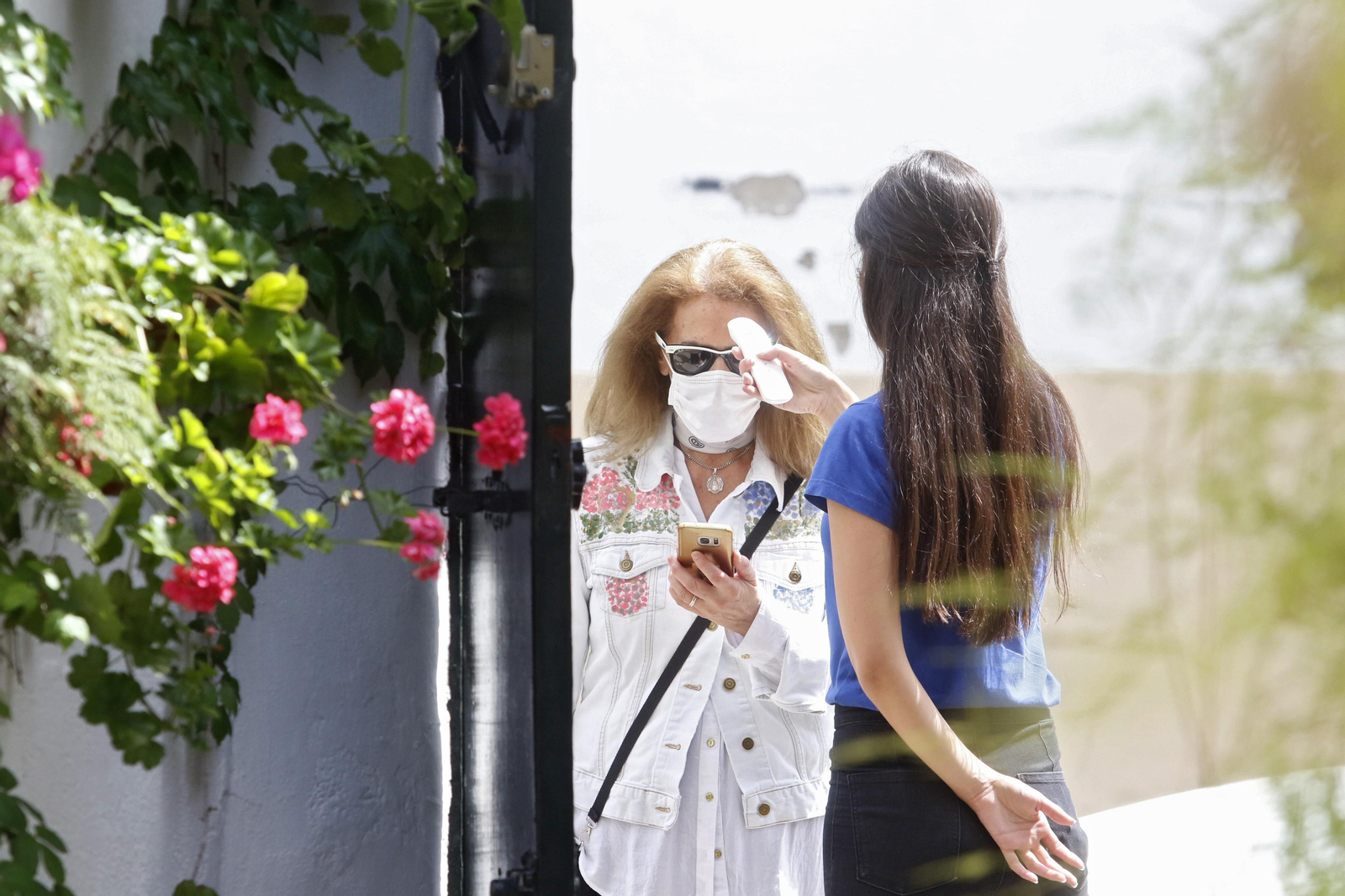 Ruta Regina - Realejo de los Patios de Córdoba, en imágenes