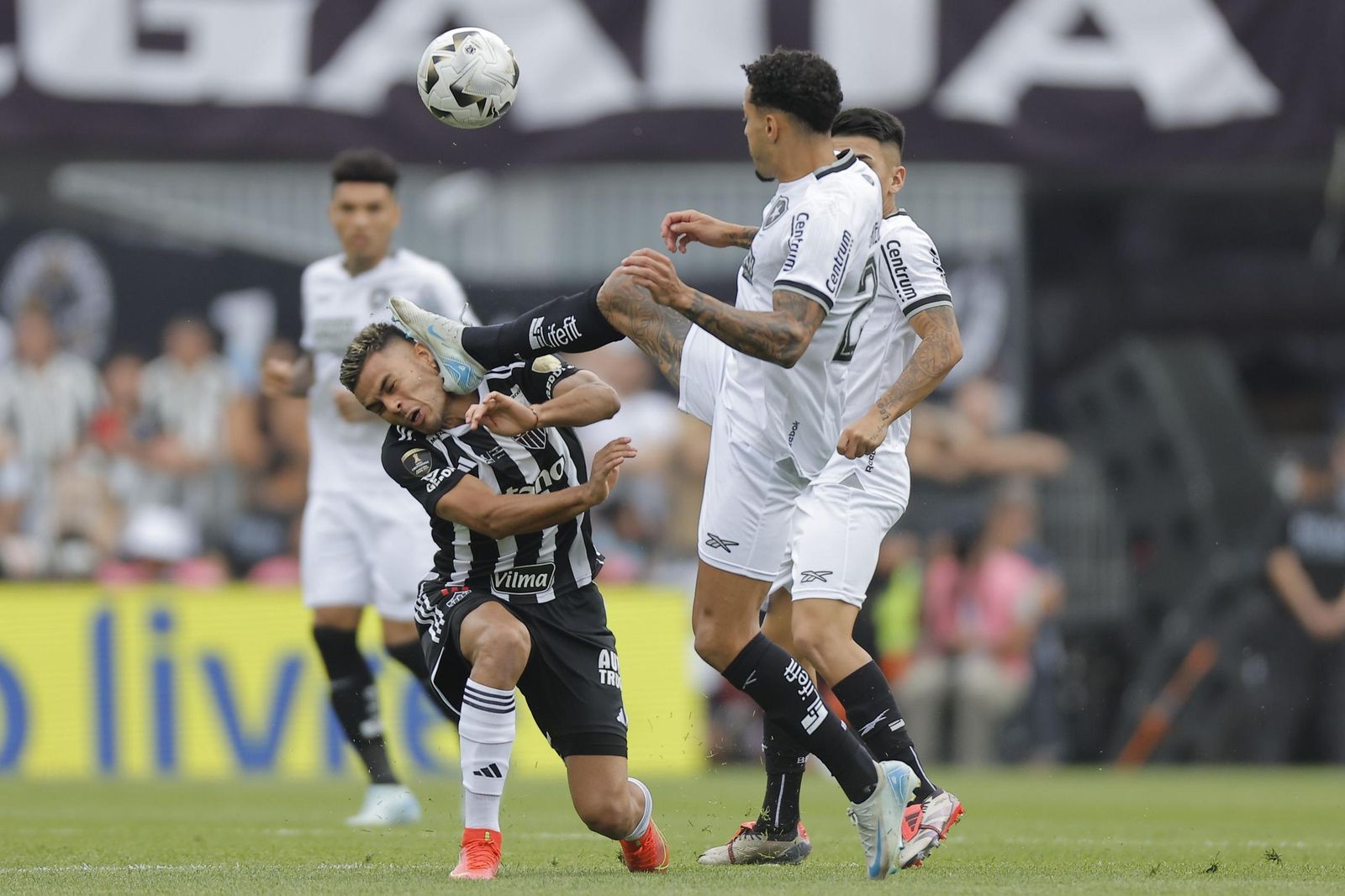 Las fotos de una final de la Libertadores histórica; Botafogo, campeón con 10, ante Atlético Mineiro