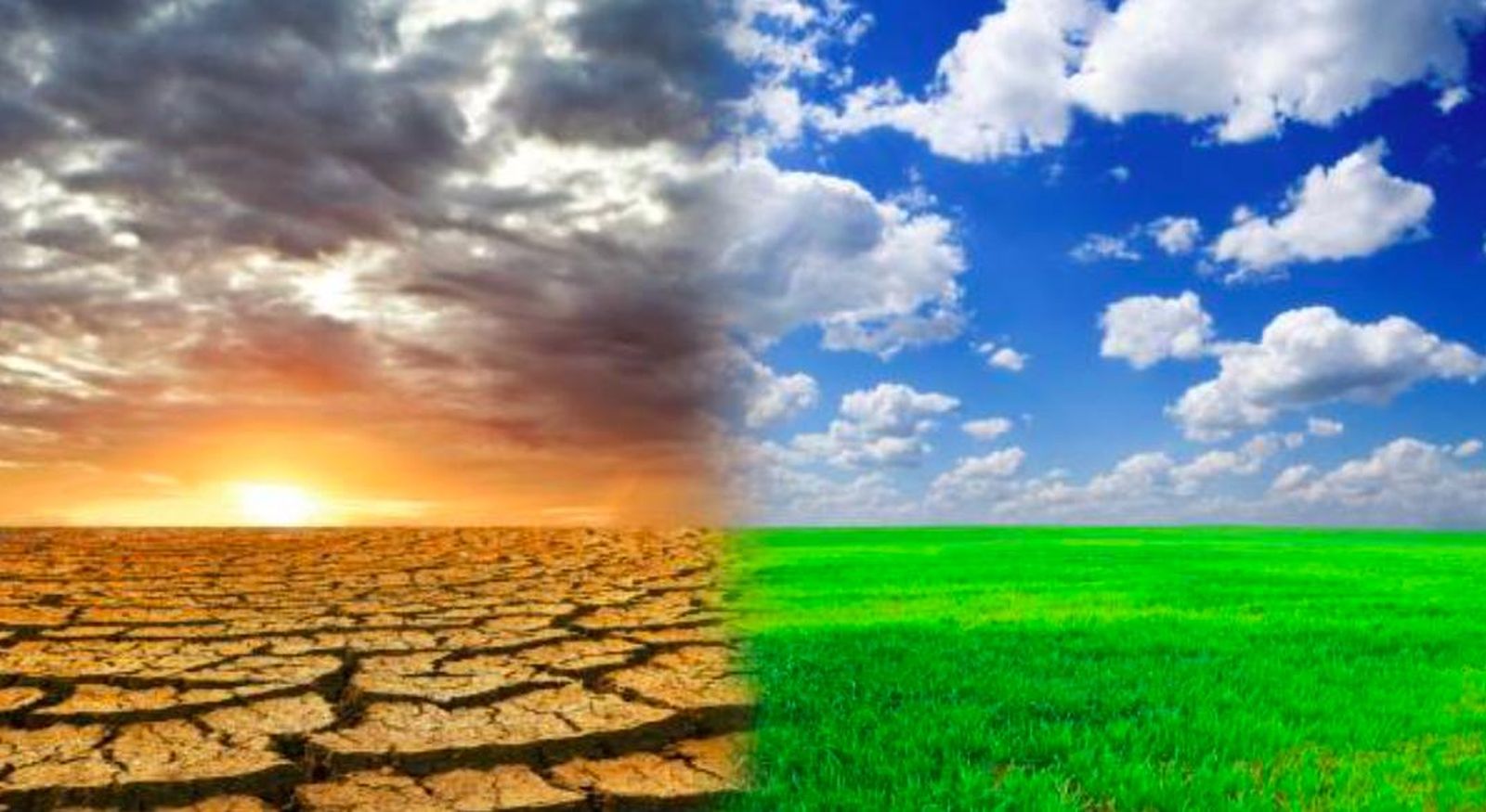 Estas son las zonas del planeta que se volverán inhabitables si la temperatura se eleva dos grados