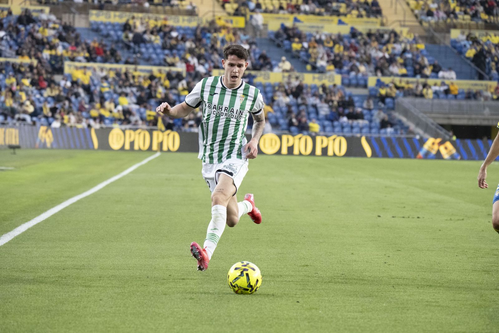 Las mejores fotos del triunfo del Córdoba CF ante Las Palmas