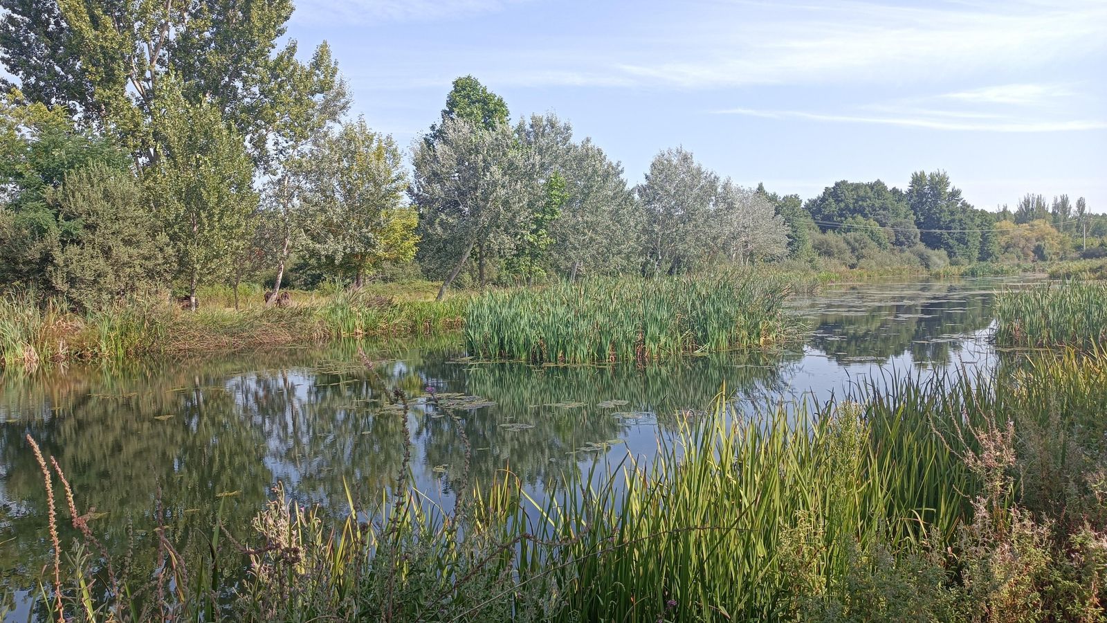 En esta etapa nos encontramos con el Valle del Tera. Lo acompañaremos durante varios kilómetros.