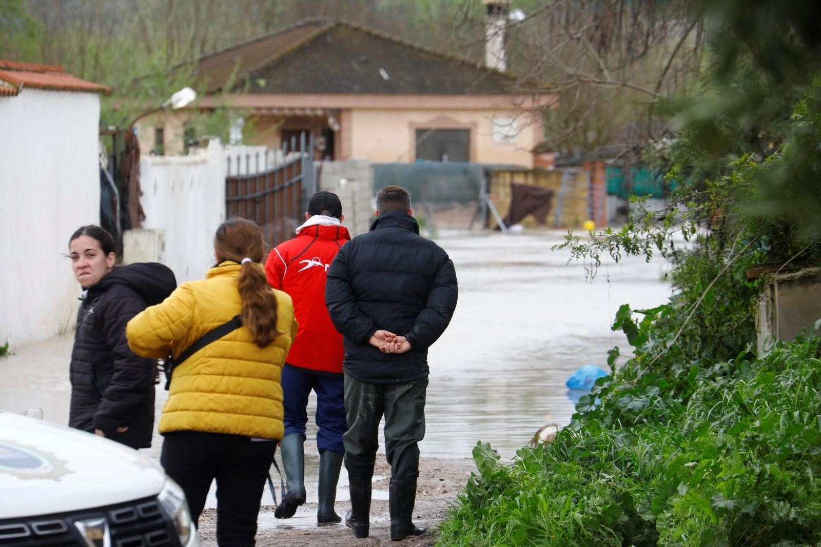 Las imágenes de las parcelaciones inundadas por la crecida del río Guadalquivir