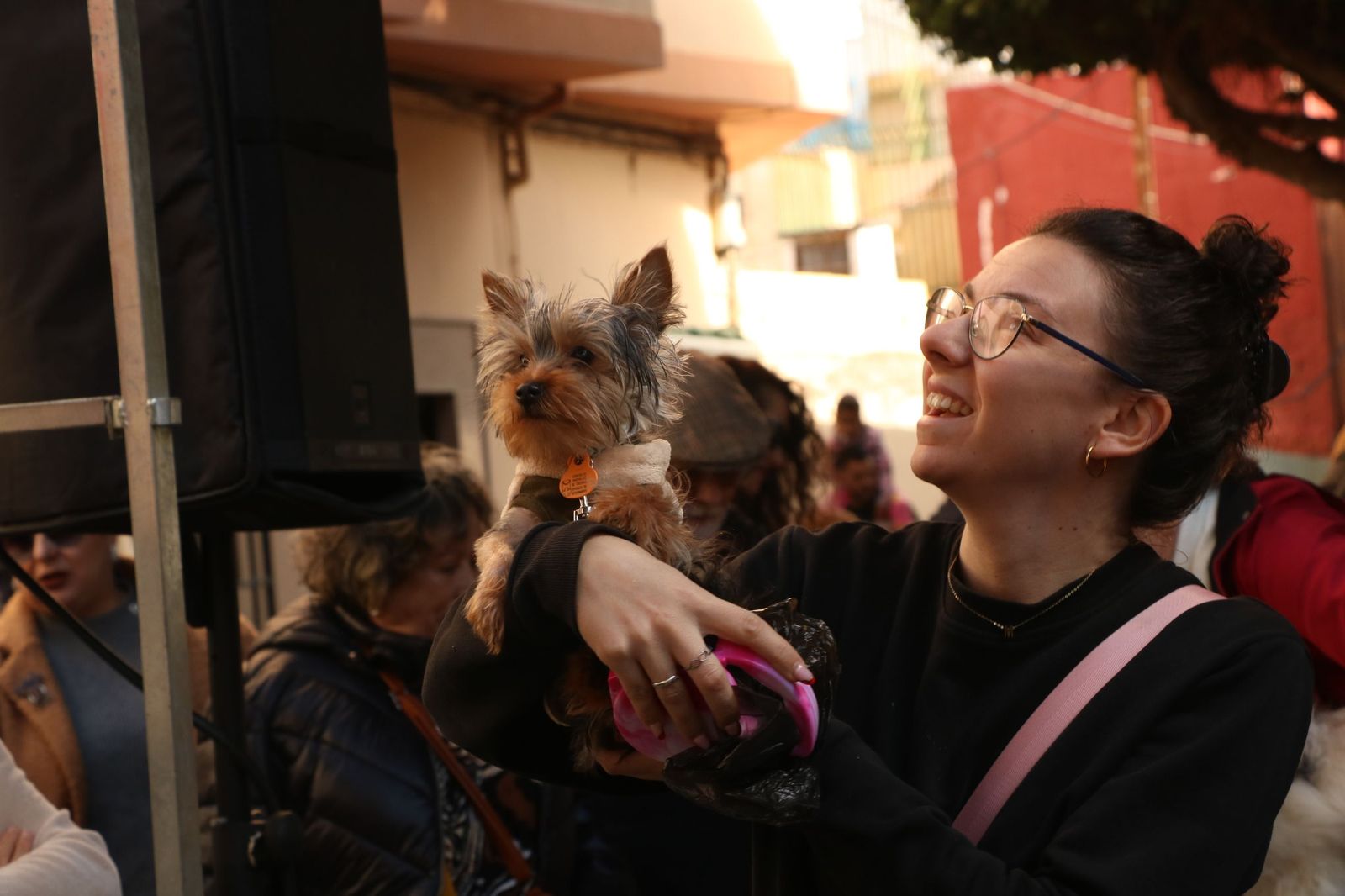 Así ha sido la bendición de las mascotas y la subasta de 'rabicos' en el casco histórico de Almería