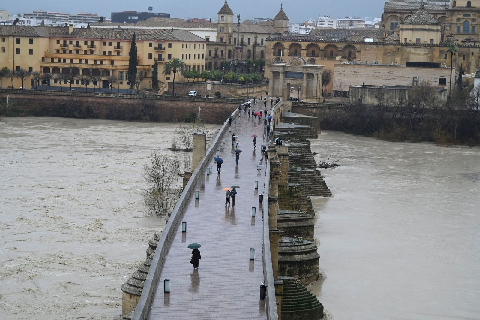 Las impactantes imágenes de la crecida del río Guadalquivir a su paso por Córdoba