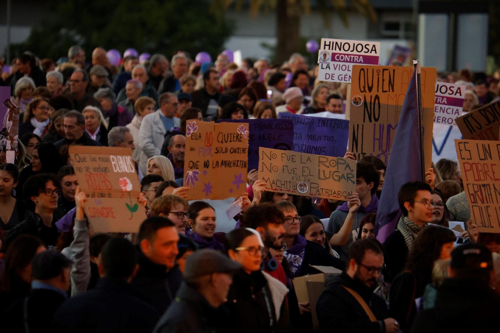 La manifestación del 25N en Córdoba