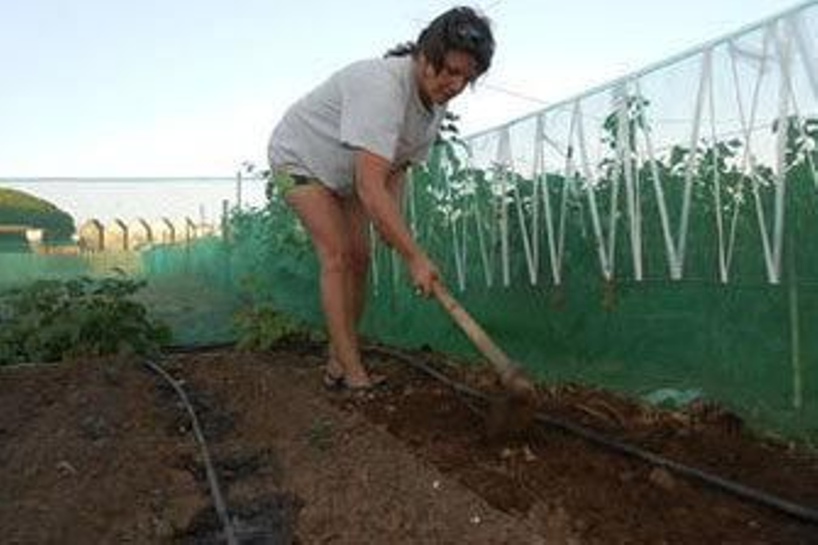 Romanticismo y sueño de las 'pymes'