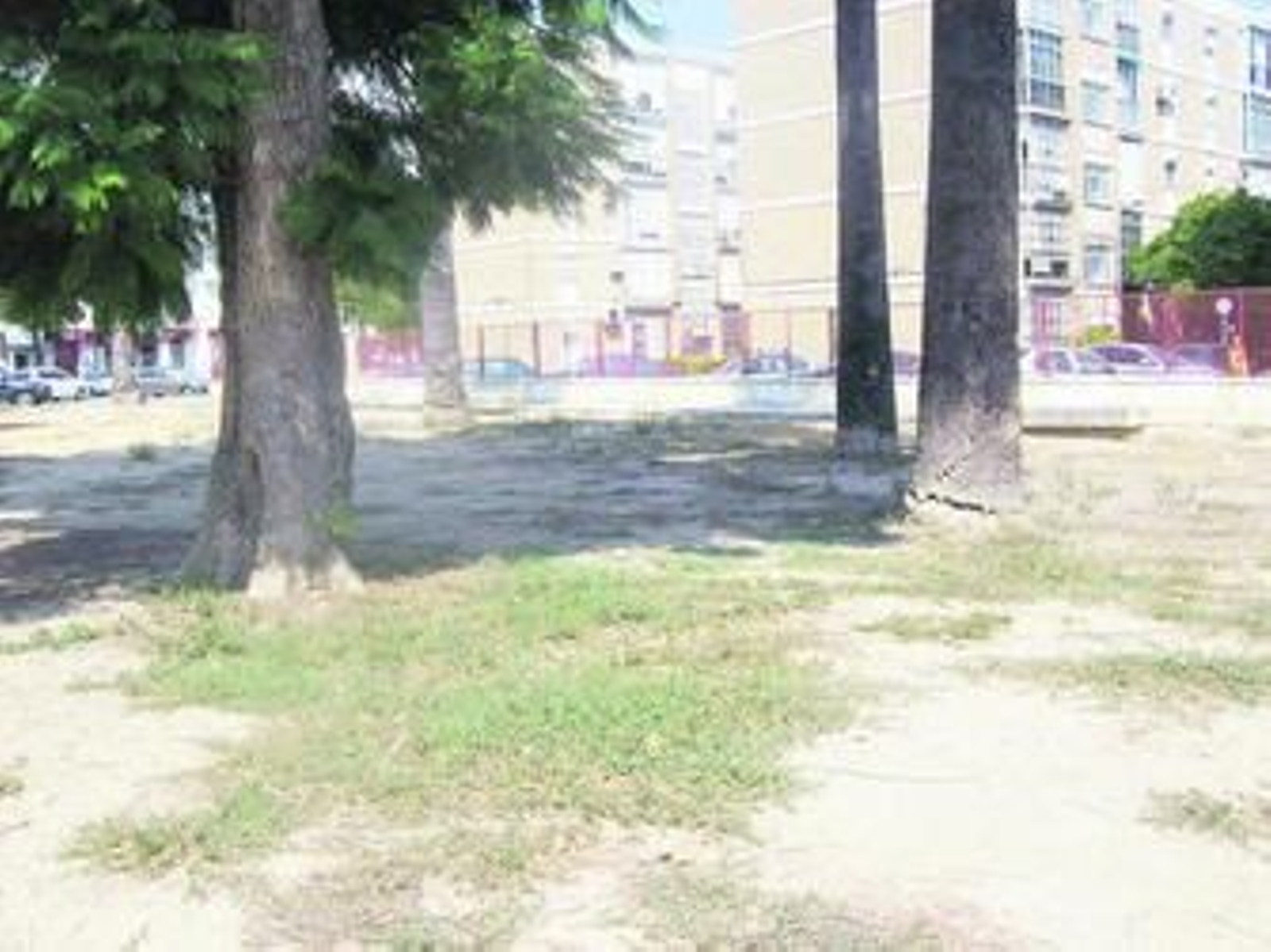 Imagen del estado en el que se encuentra el parque Scout en La Constancia.