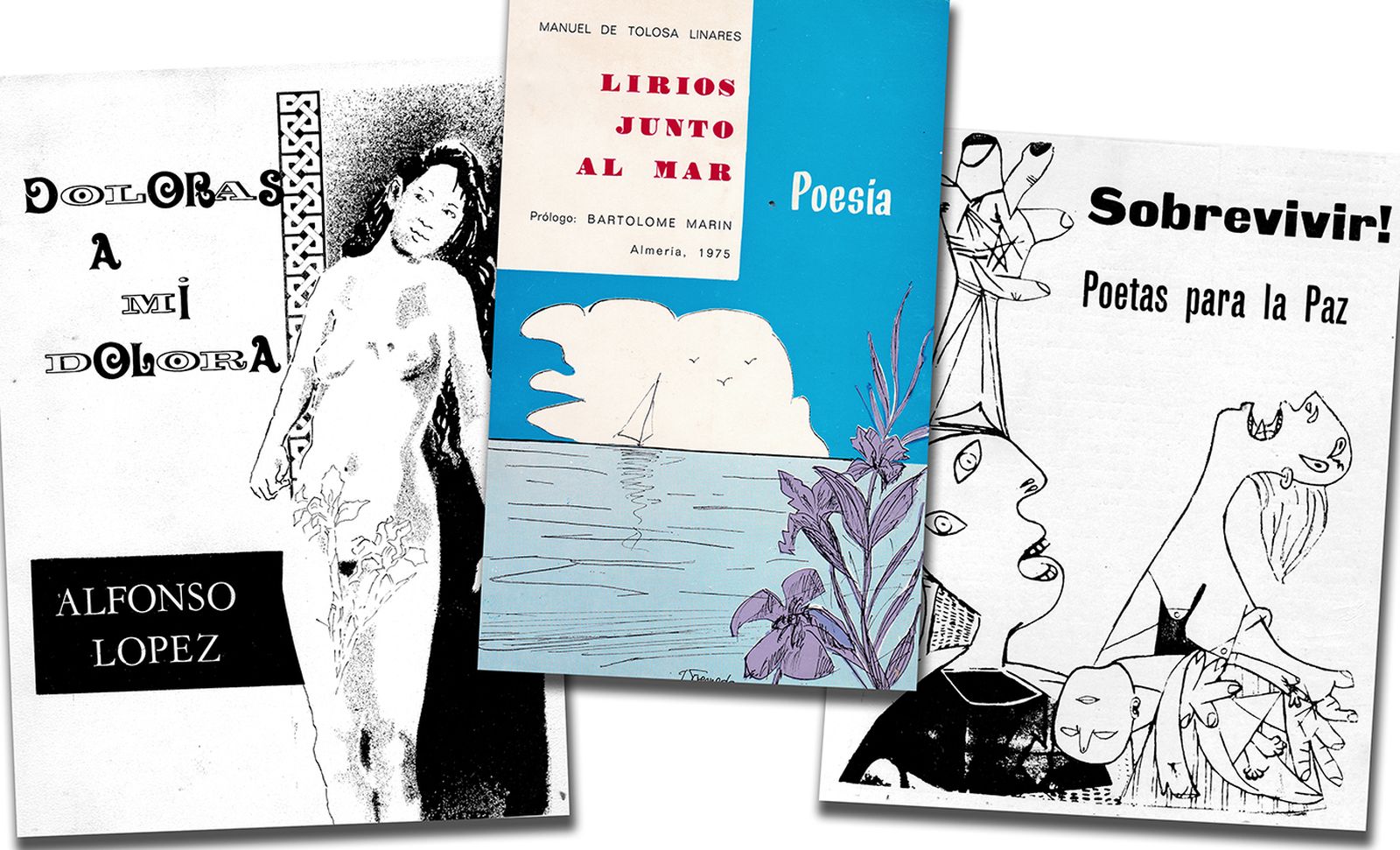 Poemarios de autoedición