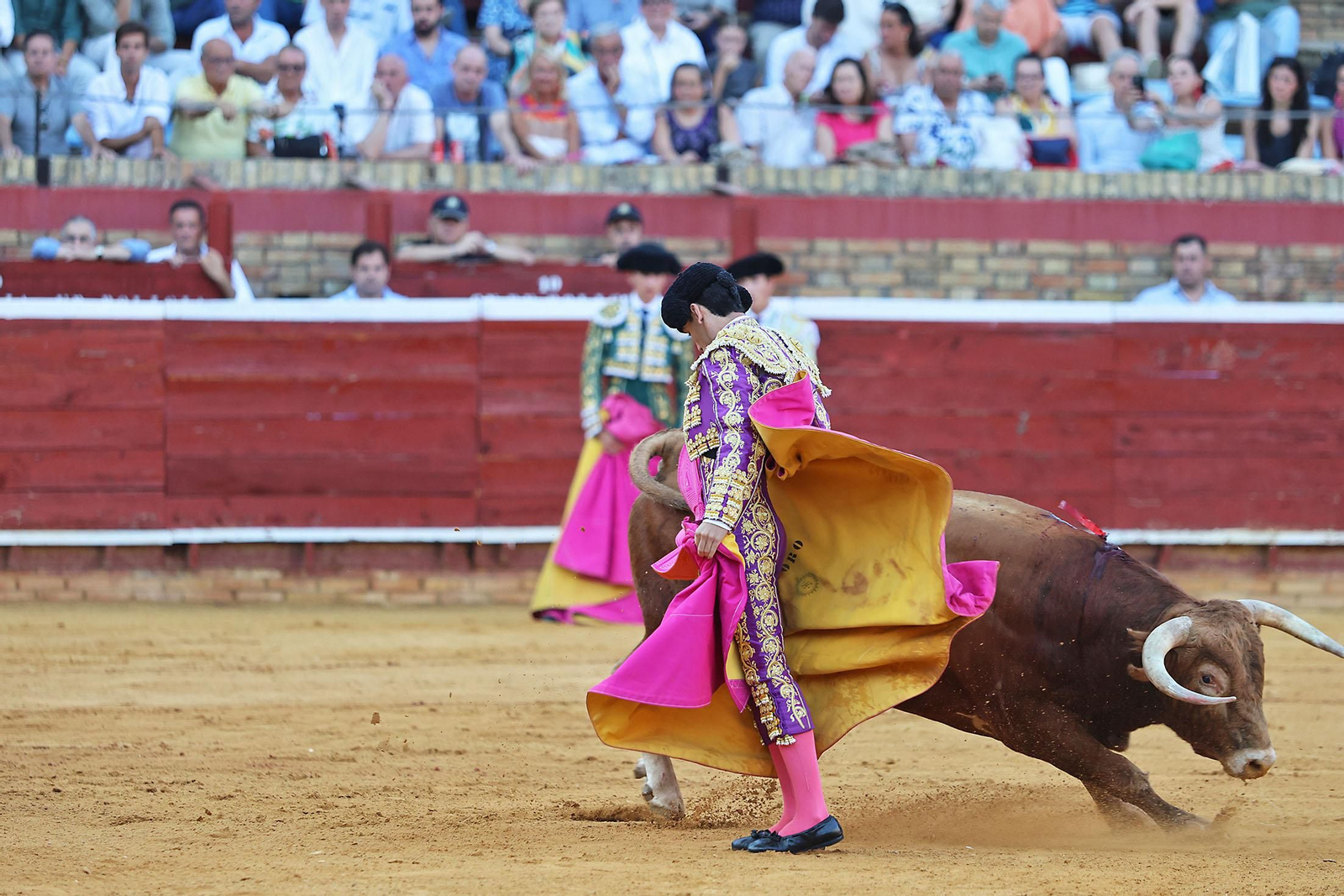 Toros La Merced 2024 Novillada con picadores(