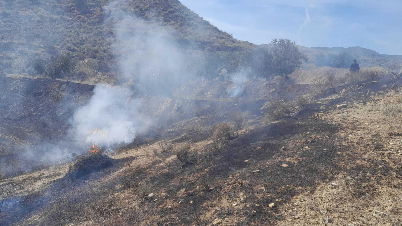 Incendio forestal declarado en Huércal-Overa este lunes.