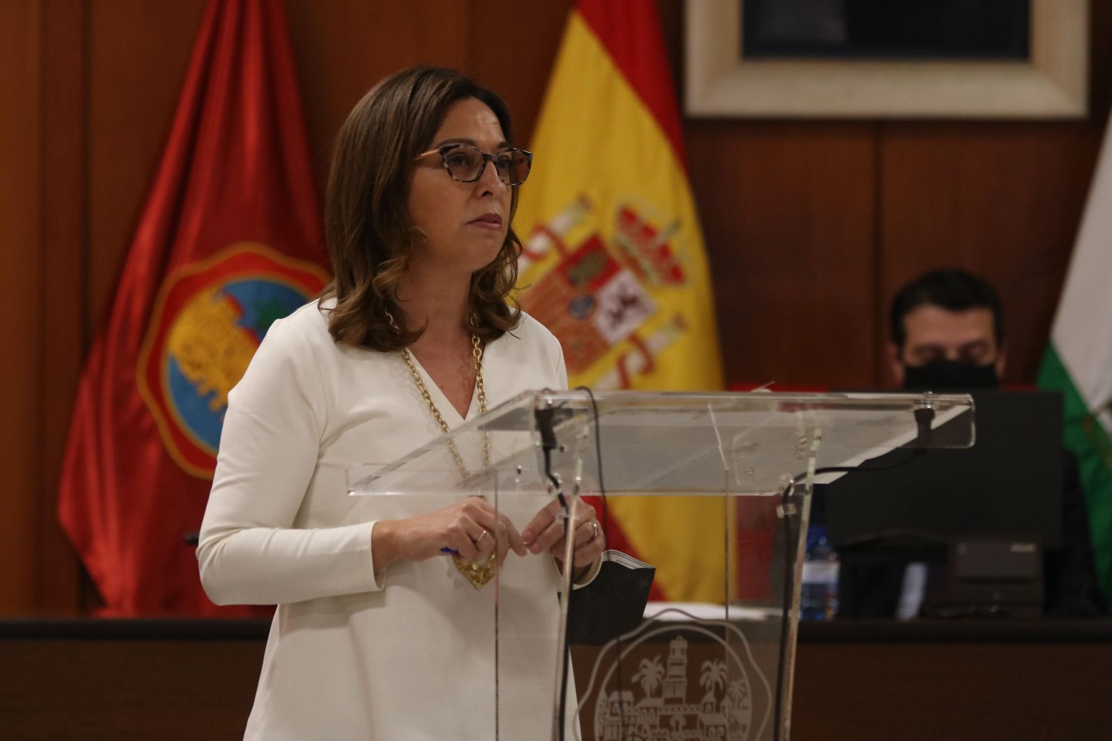 Isabel Ambrosio en una intervención en el Pleno.