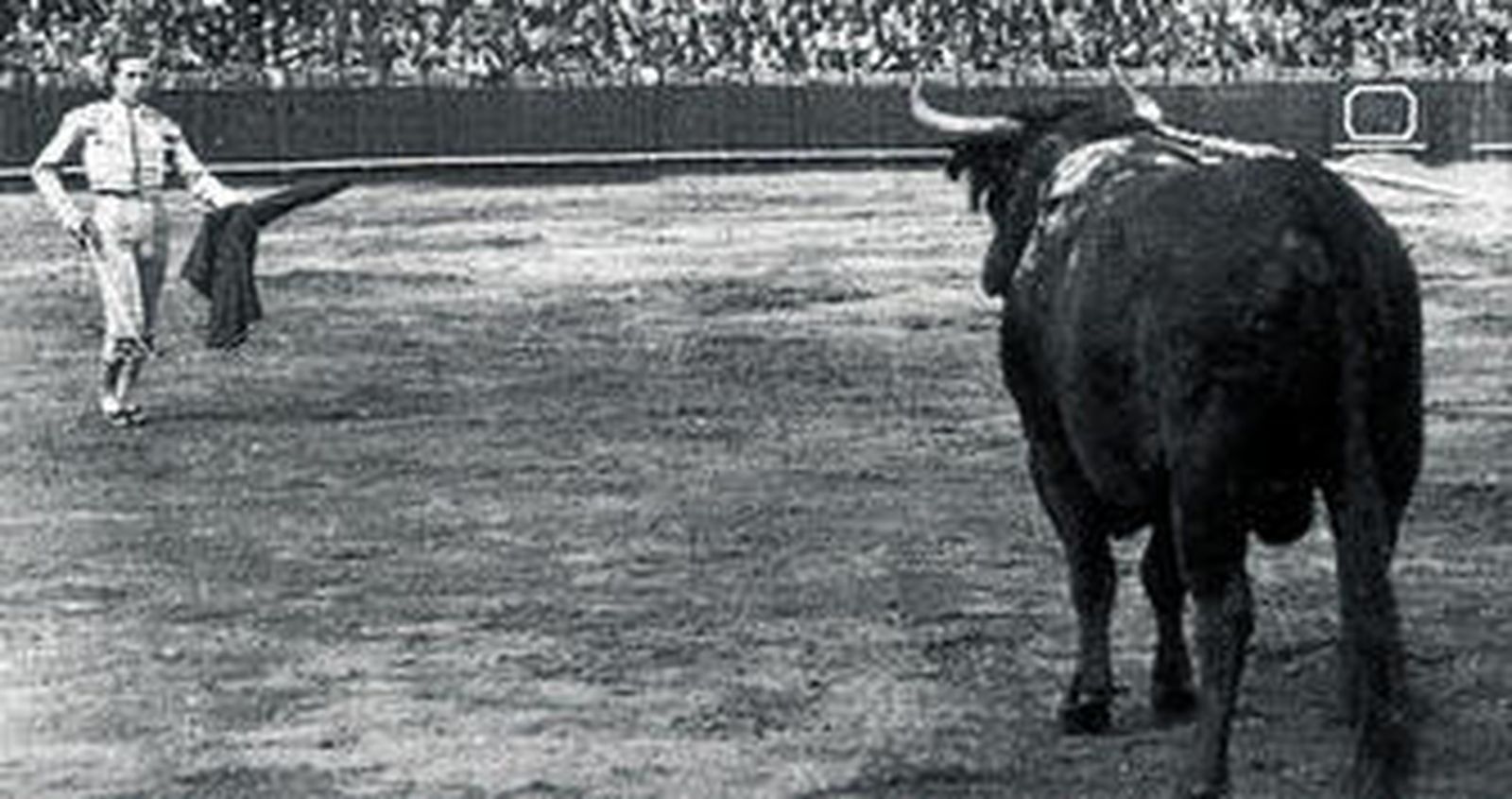 Pepe Luis Vázquez cita con la muleta plegada en su mano izquierda, para dar el pase del cartuchito de 'pescao', muletazo de su creación.