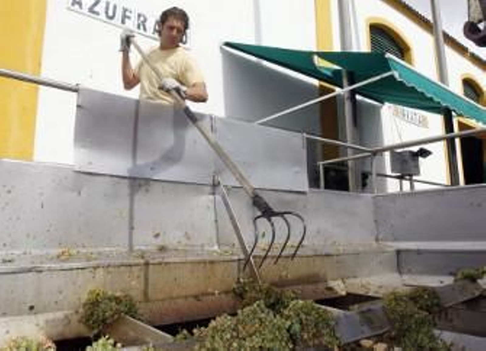 Apenas faltan cuatro días para que esta imagen se repita de nuevo en la Cooperativa de ‘Las Angustias’