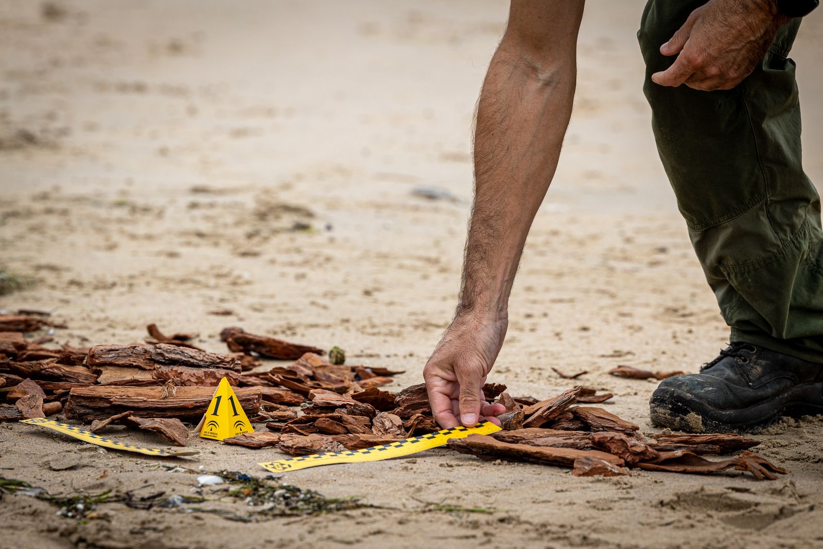 Imágenes del simulacro marítimo en en El Puerto