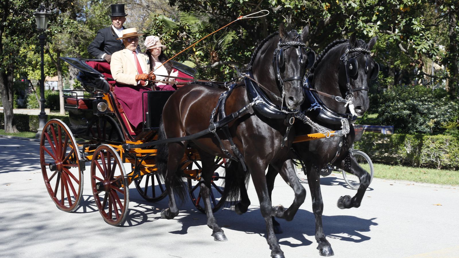 Uno de los enganches participantes en el concurso internacional pasea por el Parque de María Luisa.