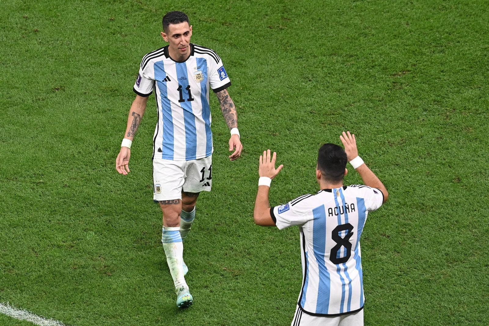 Las imágenes del Argentina-Francia