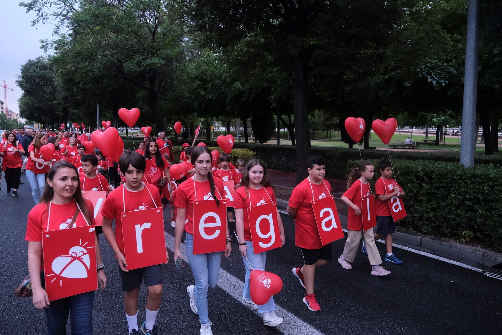 La marcha por la donación tiñe de rojo las calles de Córdoba, en imágenes