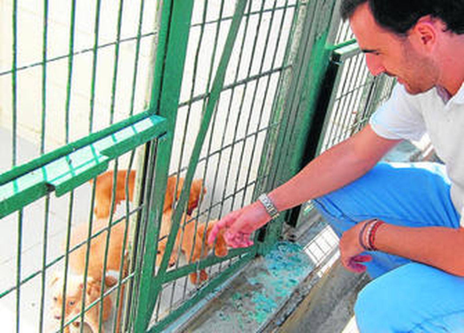 El concejal de Salud y Consumo acaricia un cachorro en una visita al Centro Zoosanitario.