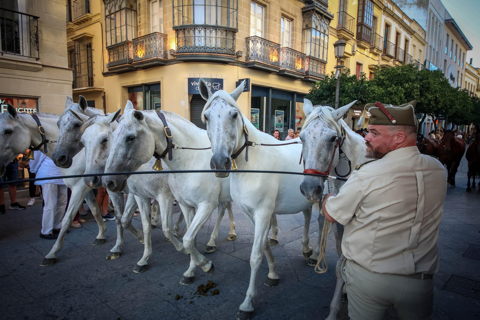 Búscate en la Parada Hípica por el 50 aniversario de Real Escuela en Jerez
