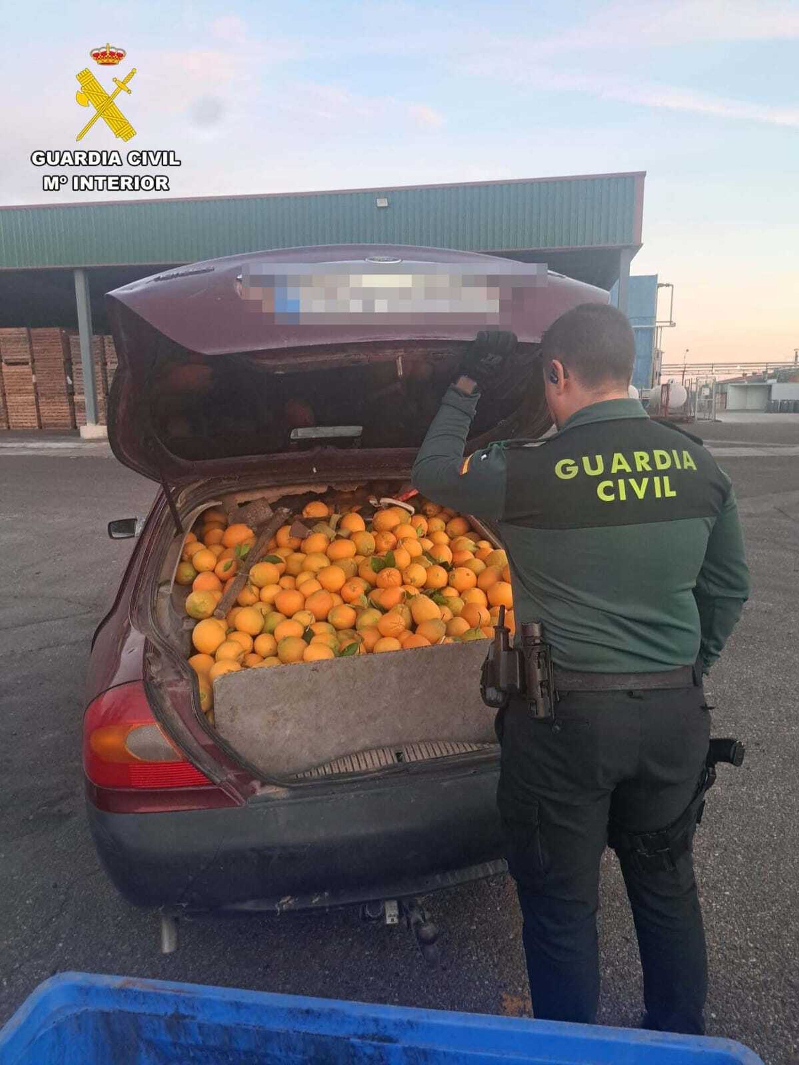 Ocho detenido por el robo de más de cuatro toneladas de naranjas
