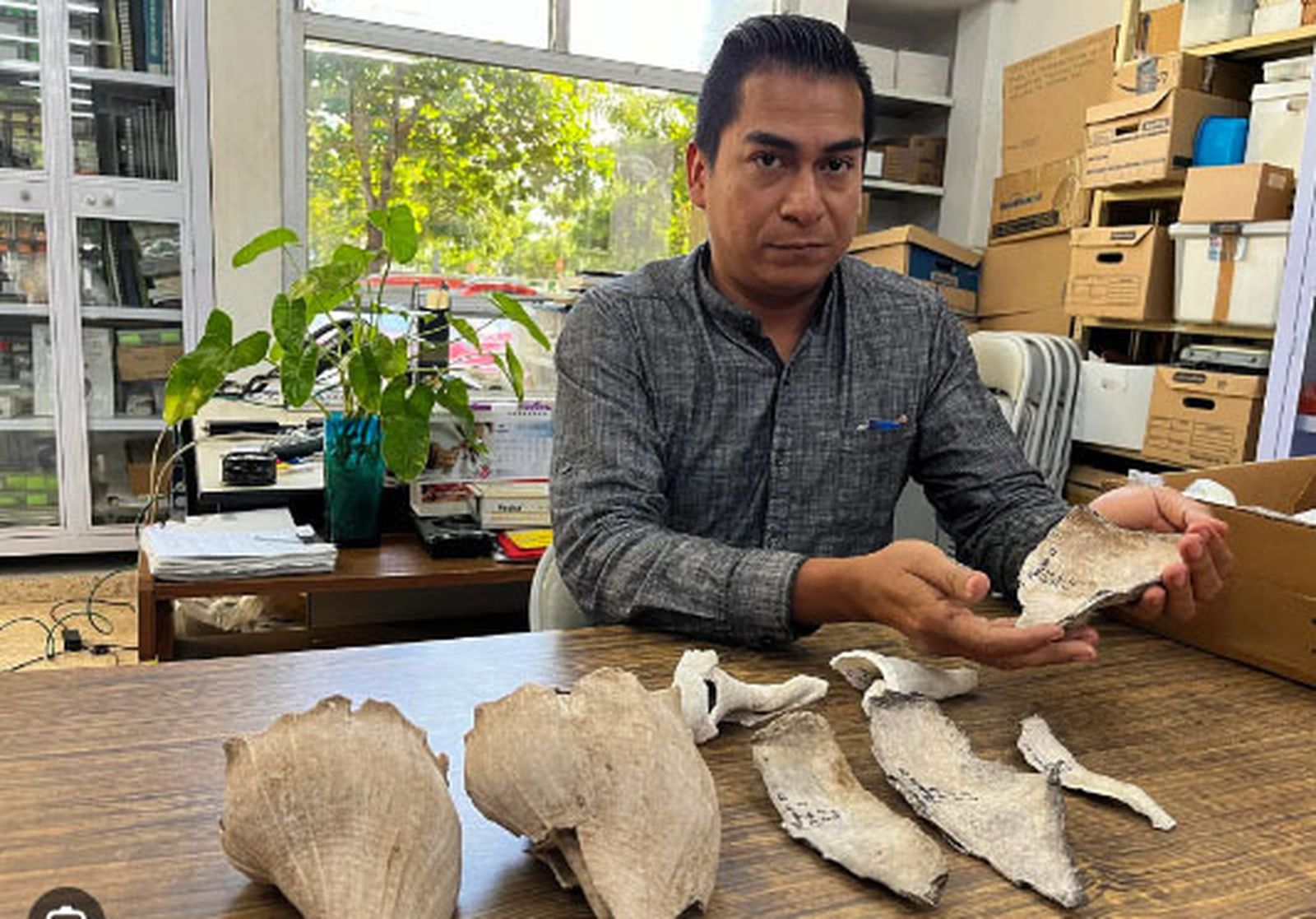 Hallan un campamento prehispánico donde los mayas cocinaban caracoles