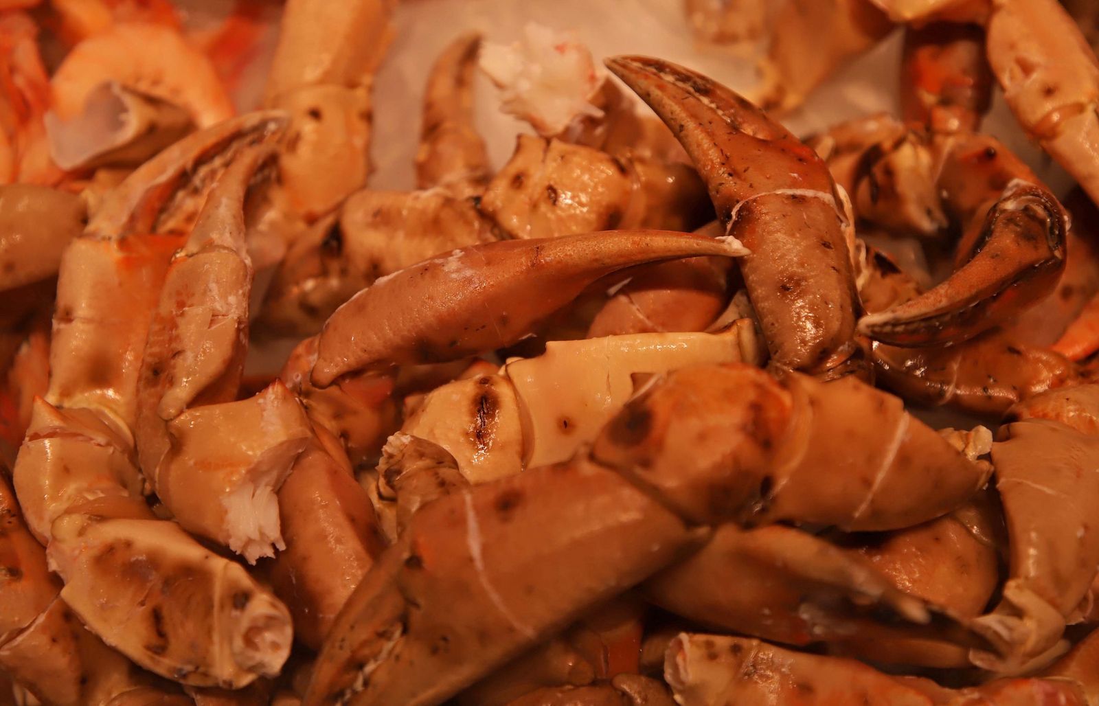 Fotos de las últimas compras para la cena de Nochebuena en Algeciras