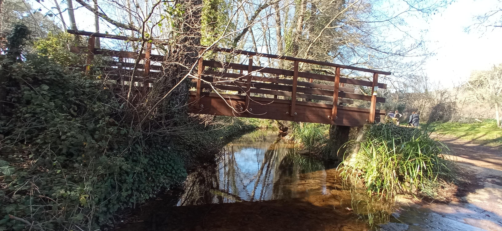 Las imágenes de la ruta de la cascada de Jollarancos y bosque de las letras