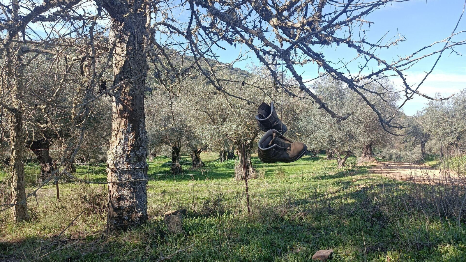 Diez rutas para hacer con niños cerca de Sevilla en el puente del Día de Andalucía