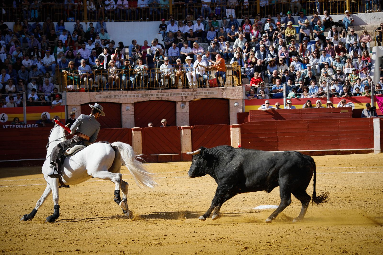 Imágenes del festival mixto lucha contra el cáncer
