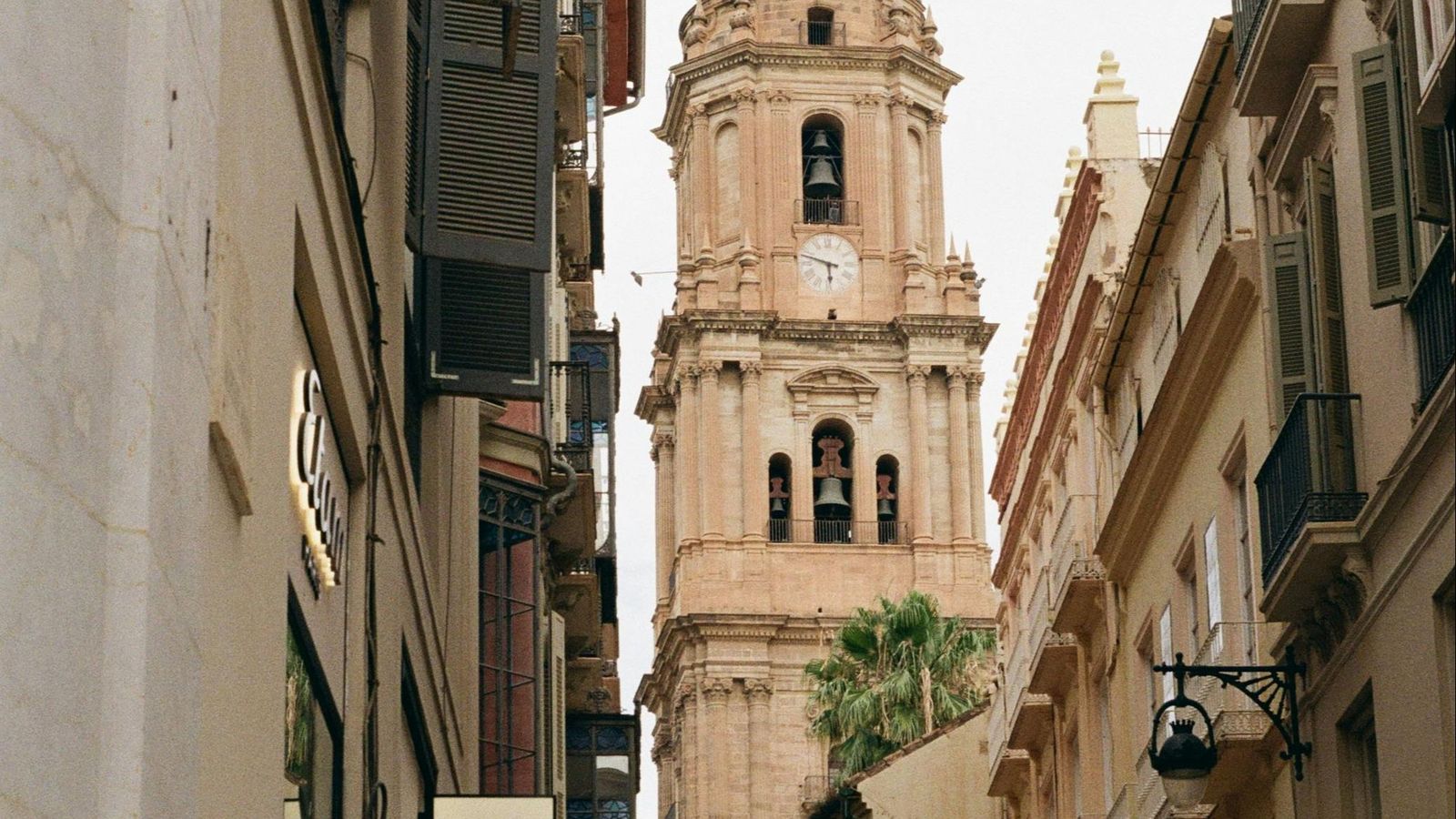 Málaga más allá de la costa: una ruta por los contrastes de nuestra provincia