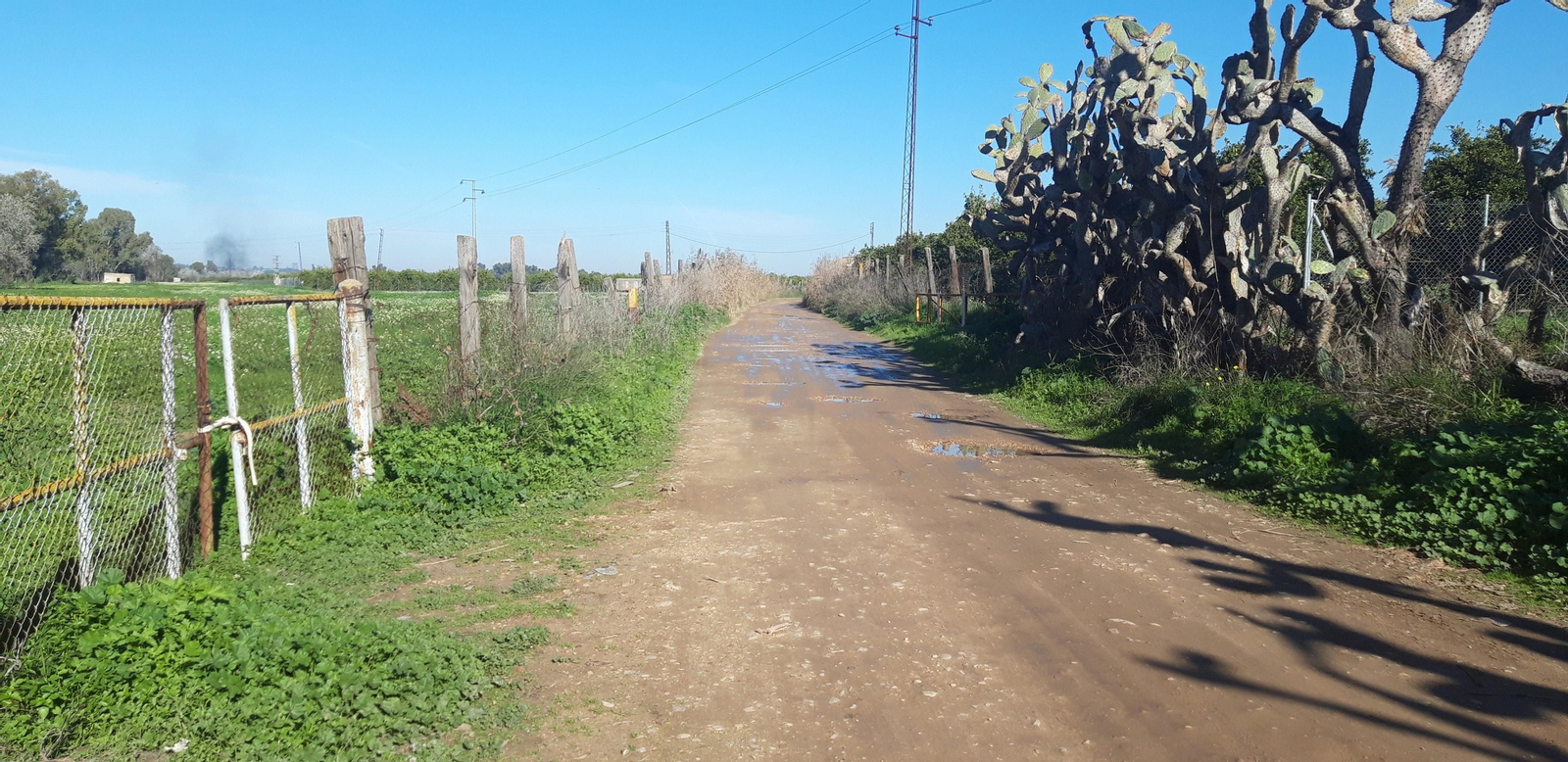 Ruta por la ribera del Guadalquivir entre Sevilla y Coria del Río