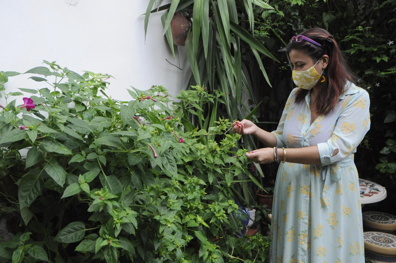 Los Patios de Córdoba se acicalan para su apertura en otoño, en fotografías