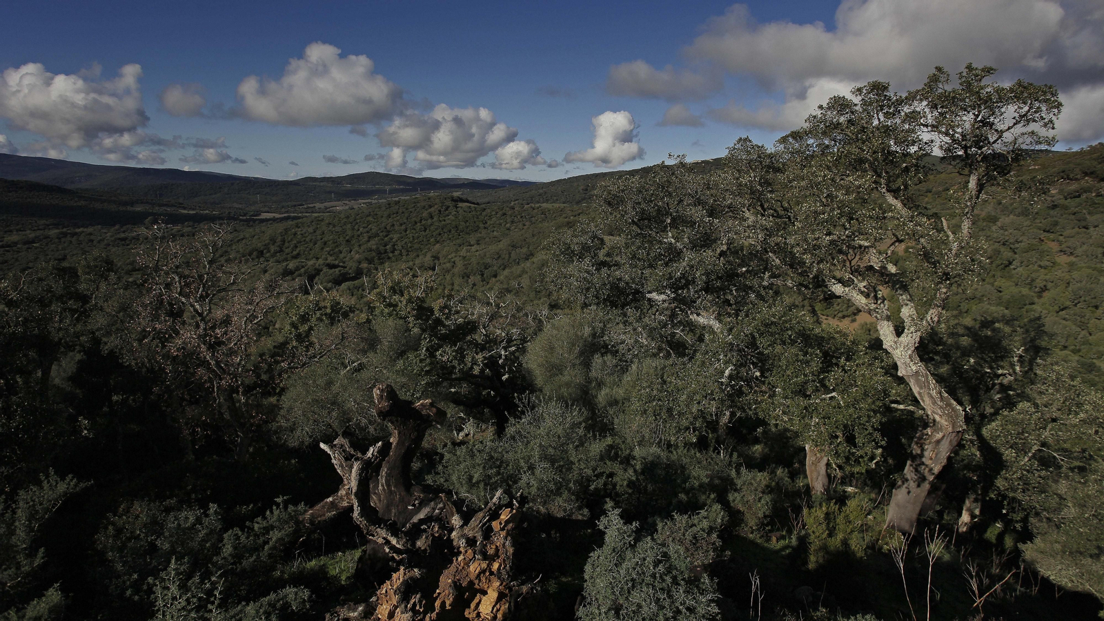 Sendero de la finca Murta en Los Barrios