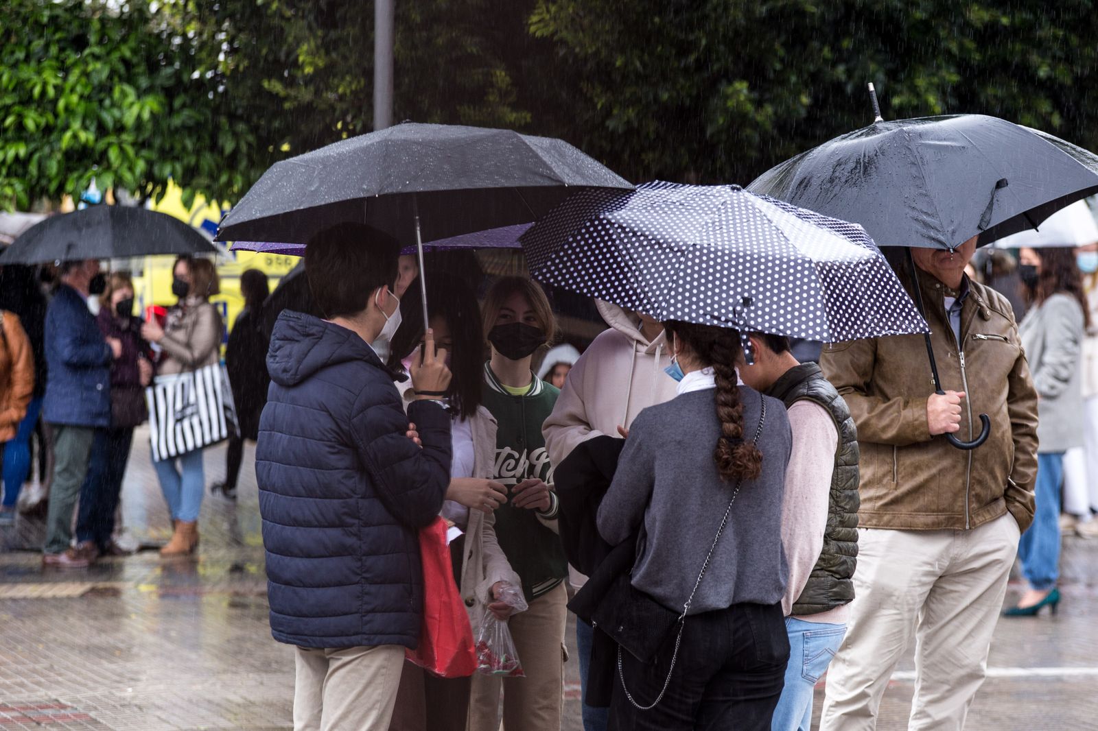 Lunes Santo en San Fernando: Las imágenes de Afligidos