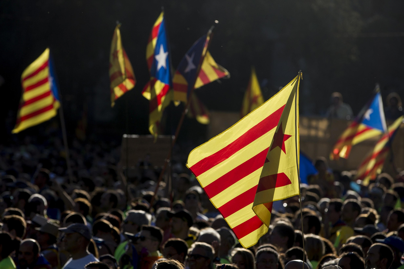 La manifestación independentista de la Diada, en imágenes