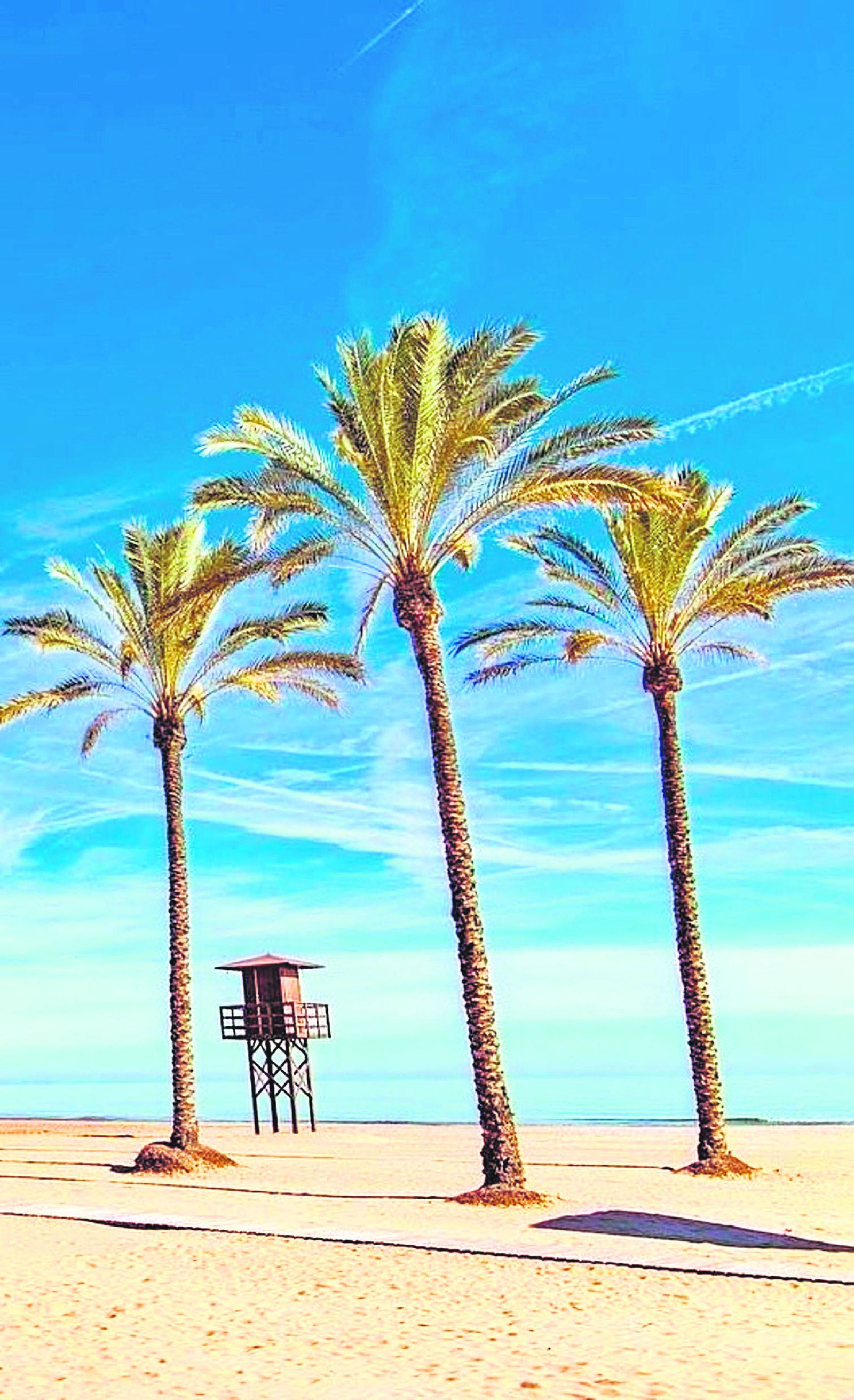 España lucirá 729  banderas azules  este verano