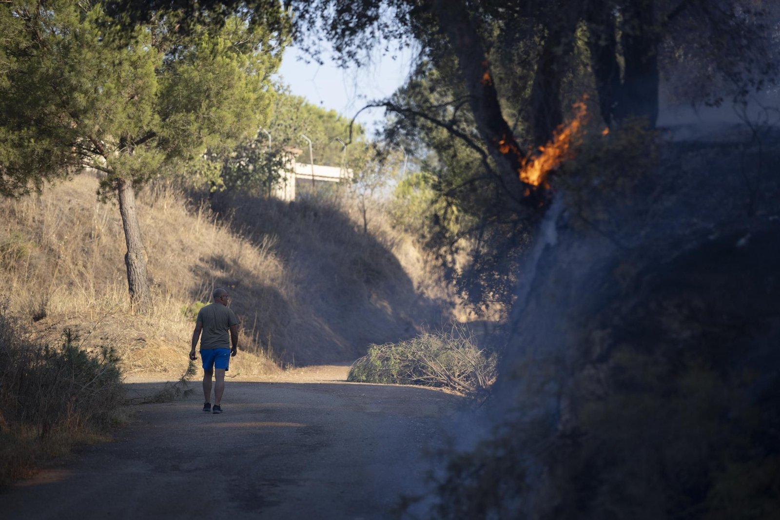 Imágenes del incendio de Bonares
