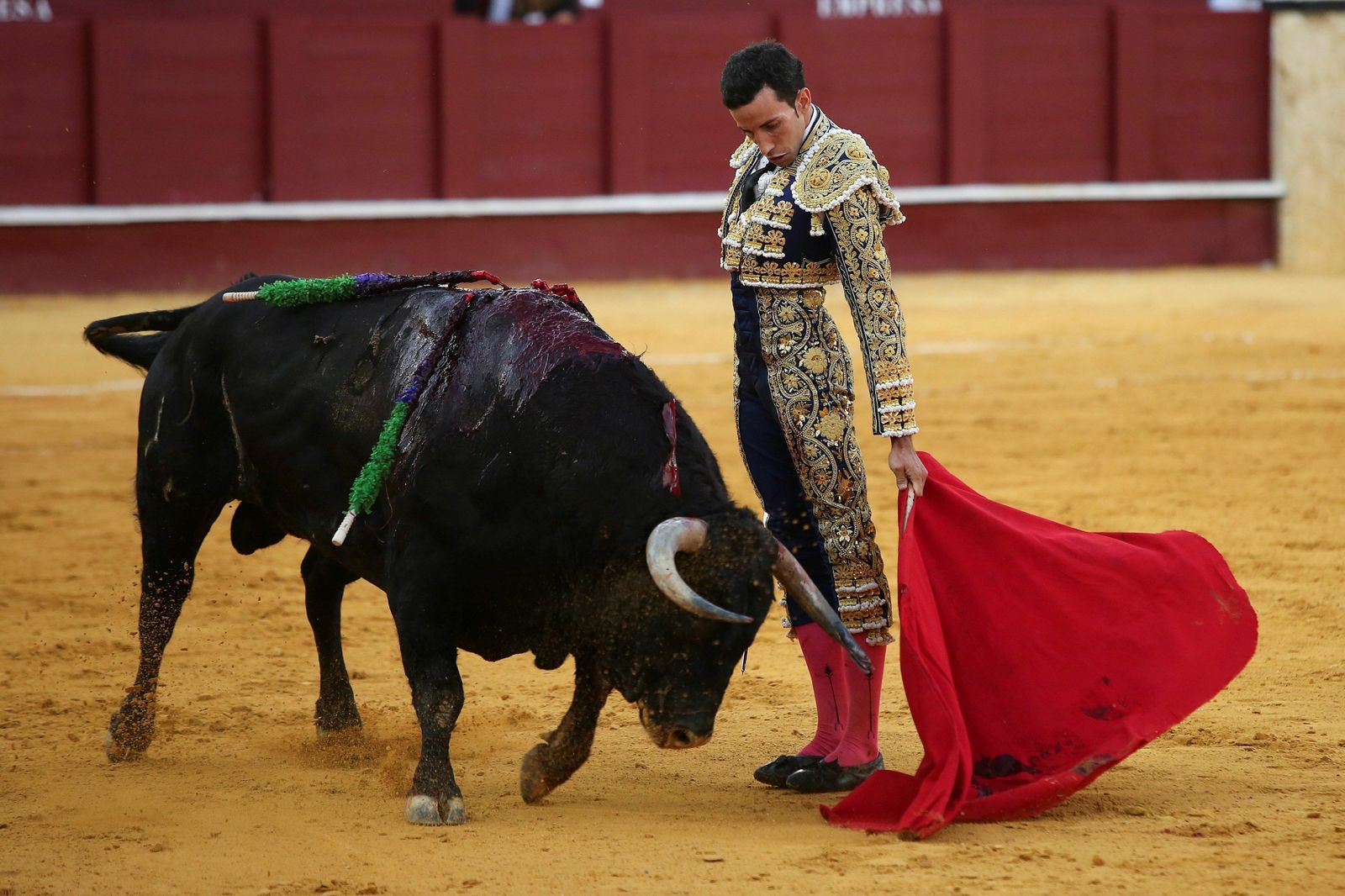 David de Miranda tuvo una gran presentación en La Malagueta, logrando cortar dos orejas de un manejable encierro de La Palmosilla