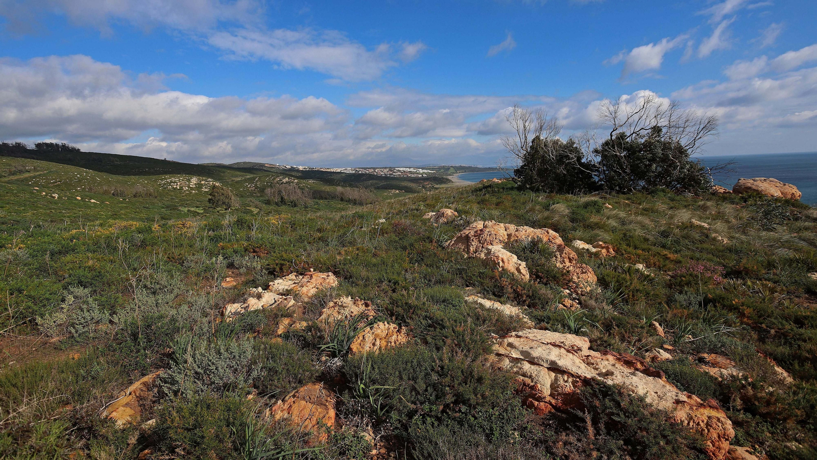 Espacio natural Portichuelos en La Línea