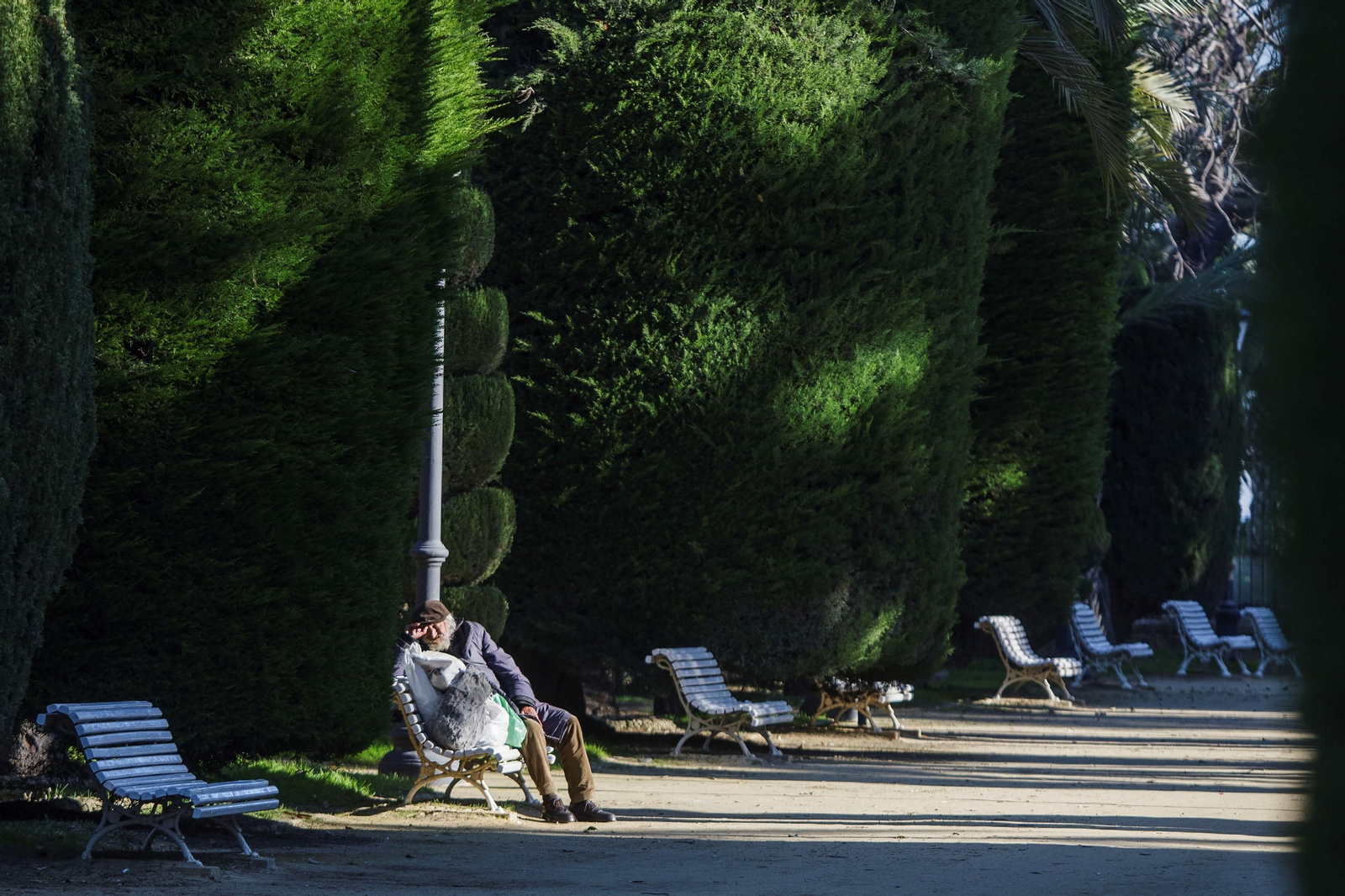 Imágenes del mal estado del Parque Genovés de Cádiz