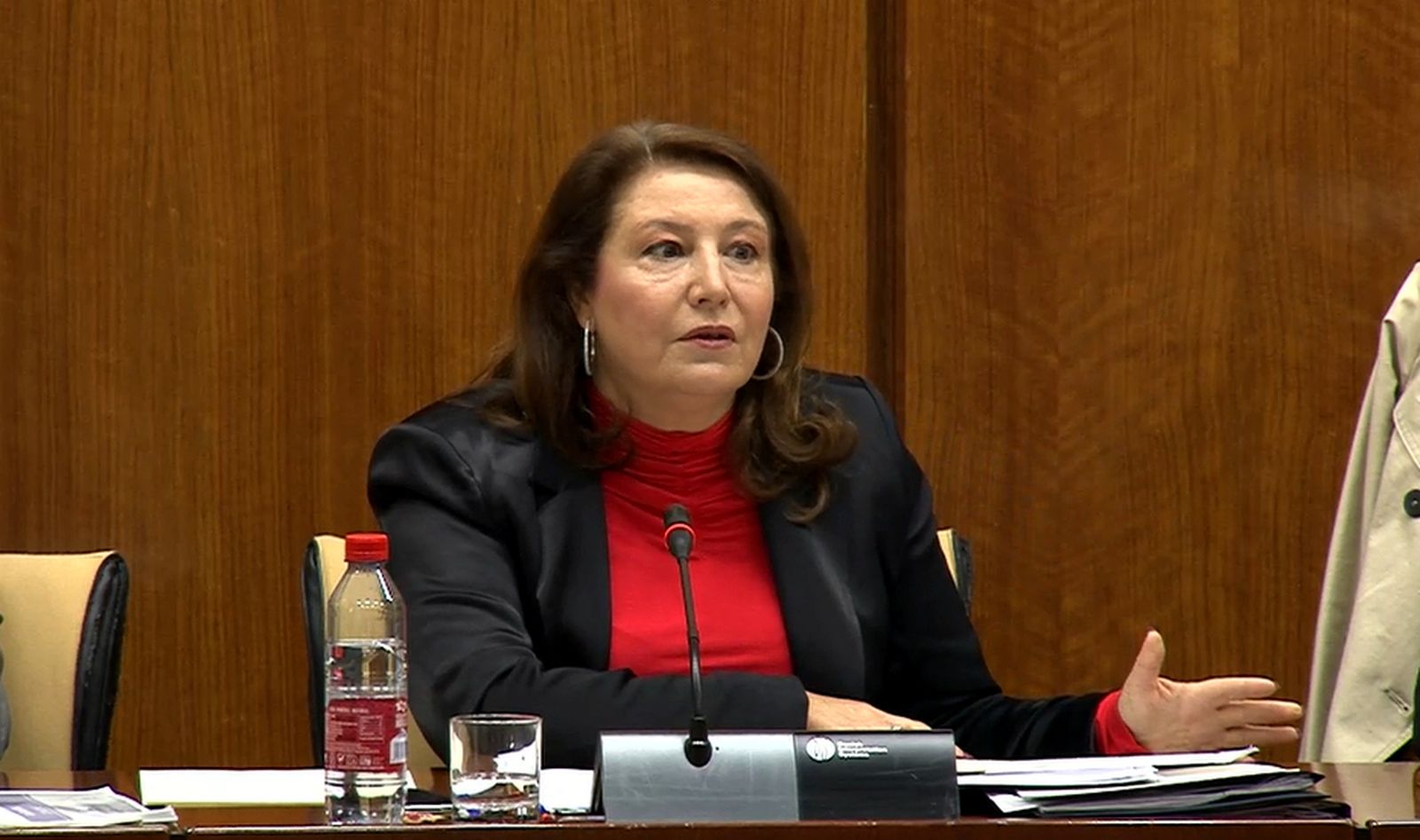 Carmen Crespo en la comisión parlamentaria