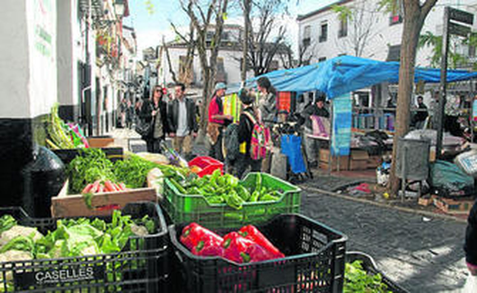 Granada, coto cerrado para la venta ambulante desde hace 7 años