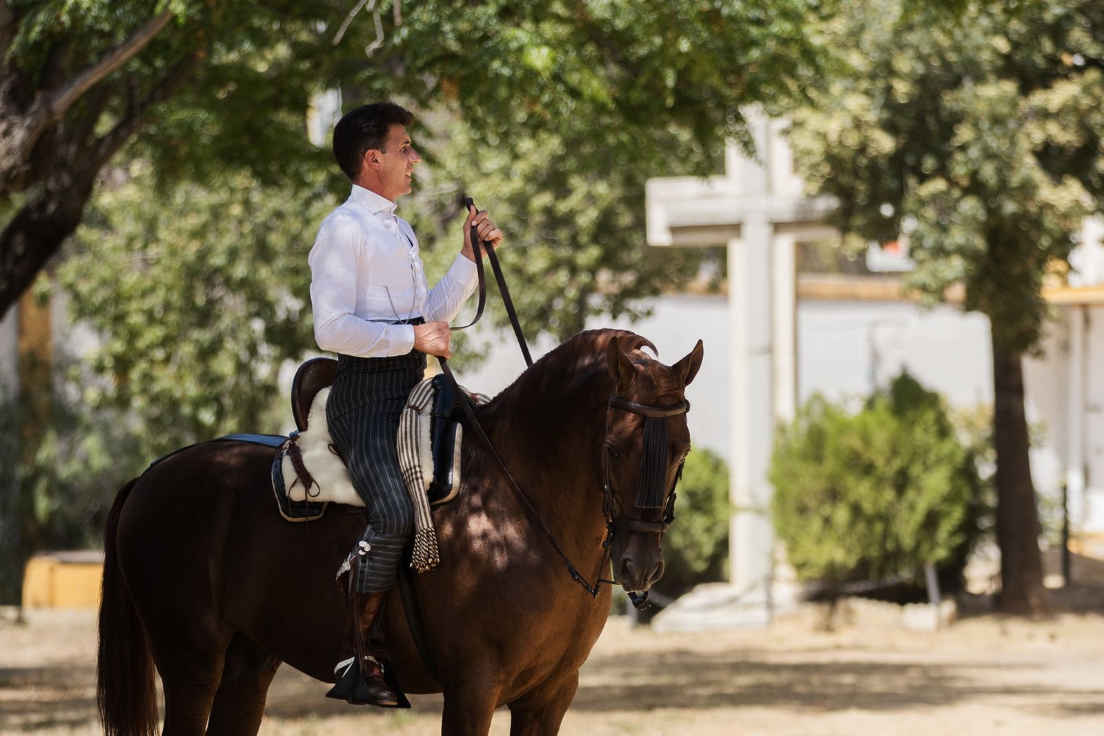 Imágenes de la Final de Doma Vaquera en Sementales