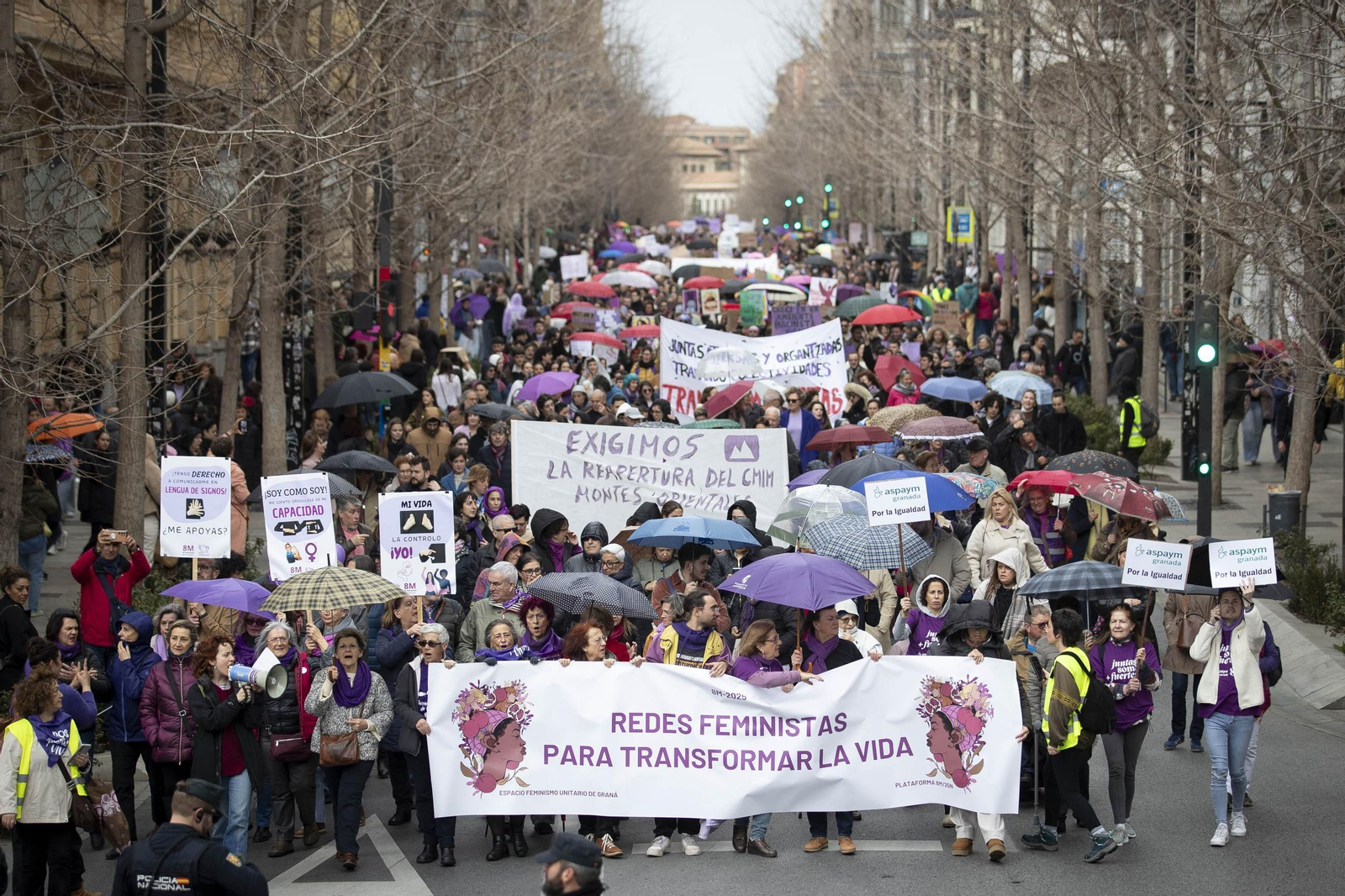 Las mejores imágenes de la manifestación del 8M en Granada