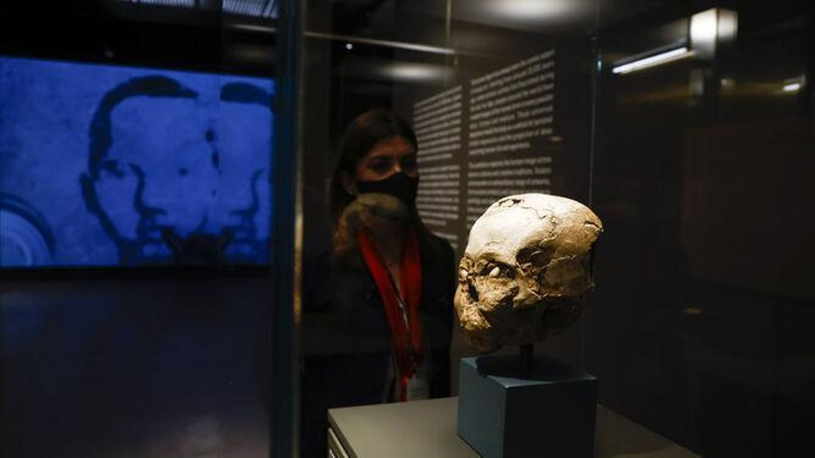 Un cráneo humano modelado da la bienvenida al visitante.