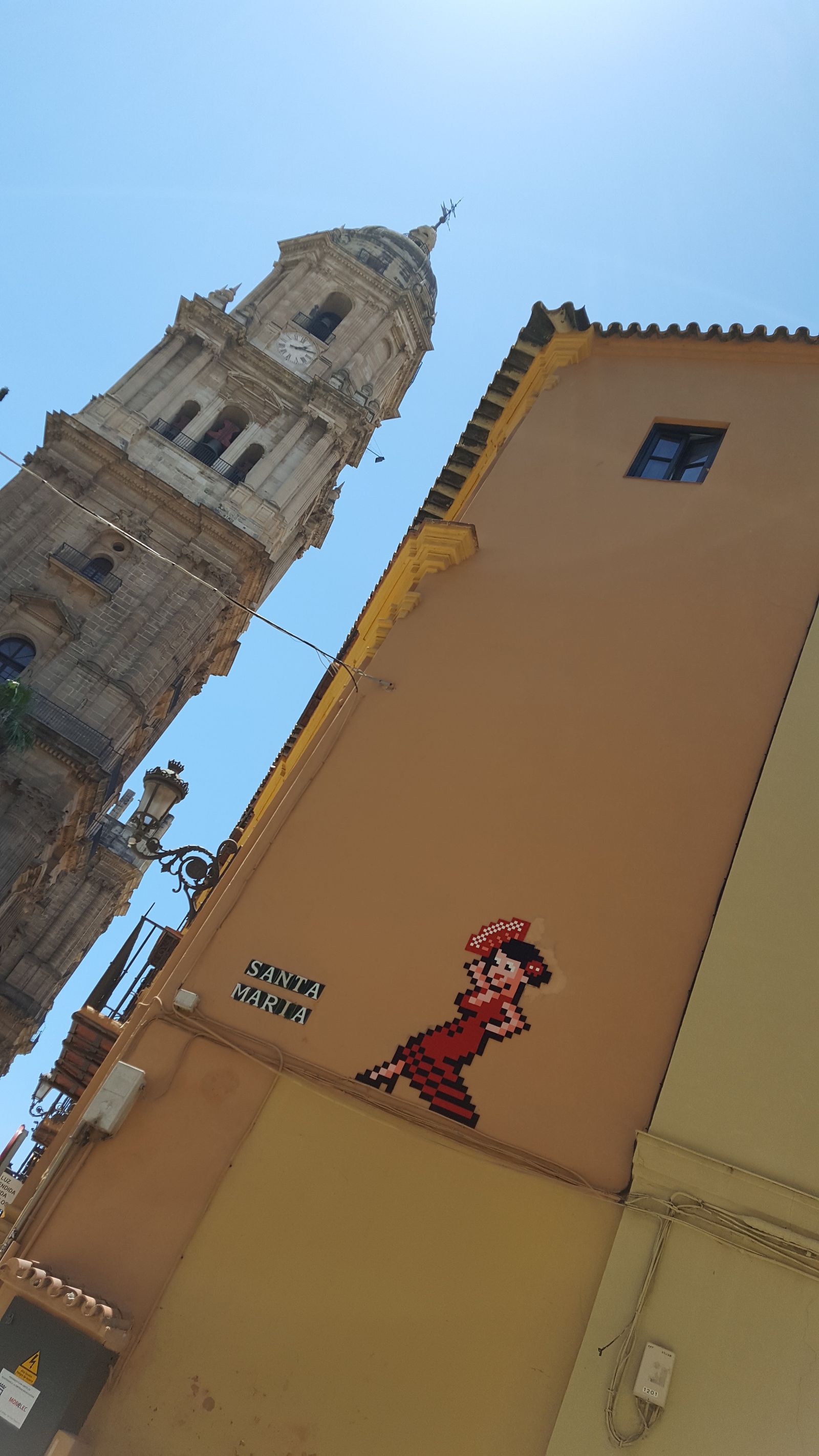 El mosaico de una flamenca en la fachada del Palacio Episcopal, obra de Invader.